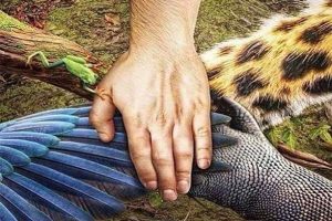 lote-medio_0000_33e8e07f-a7f1-4ca7-9767-716ac8875961_0001_944f7d63-7213-4da2-bcc8-d0fafa084383 lote-medio_0000_33e8e07f-a7f1-4ca7-9767-716ac8875961_0001_944f7d63-7213-4da2-bcc8-d0fafa084383