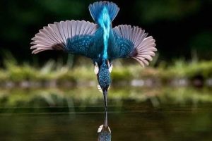 lote-medio_0000_33e8e07f-a7f1-4ca7-9767-716ac8875961_0002_801b9d38-1319-49c6-aaac-2071b26676db lote-medio_0000_33e8e07f-a7f1-4ca7-9767-716ac8875961_0002_801b9d38-1319-49c6-aaac-2071b26676db