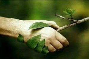 lote-medio_0000_33e8e07f-a7f1-4ca7-9767-716ac8875961_0003_775c3b0a-be9f-4f95-a078-92a2bea35305 lote-medio_0000_33e8e07f-a7f1-4ca7-9767-716ac8875961_0003_775c3b0a-be9f-4f95-a078-92a2bea35305