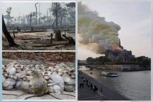 lote-medio_0000_33e8e07f-a7f1-4ca7-9767-716ac8875961_0004_fbcb171b-7df7-4ea6-9773-b585c77f7a69 lote-medio_0000_33e8e07f-a7f1-4ca7-9767-716ac8875961_0004_fbcb171b-7df7-4ea6-9773-b585c77f7a69