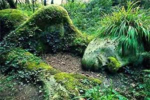 lote-medio_0000_33e8e07f-a7f1-4ca7-9767-716ac8875961_0005_f219f5ca-ab00-4d39-b0d1-95a6abc906cb lote-medio_0000_33e8e07f-a7f1-4ca7-9767-716ac8875961_0005_f219f5ca-ab00-4d39-b0d1-95a6abc906cb