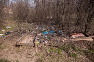 lote medio_0003_1ebb1290-19ff-40c3-a1f6-96e9dd49b424 lote medio_0003_1ebb1290-19ff-40c3-a1f6-96e9dd49b424